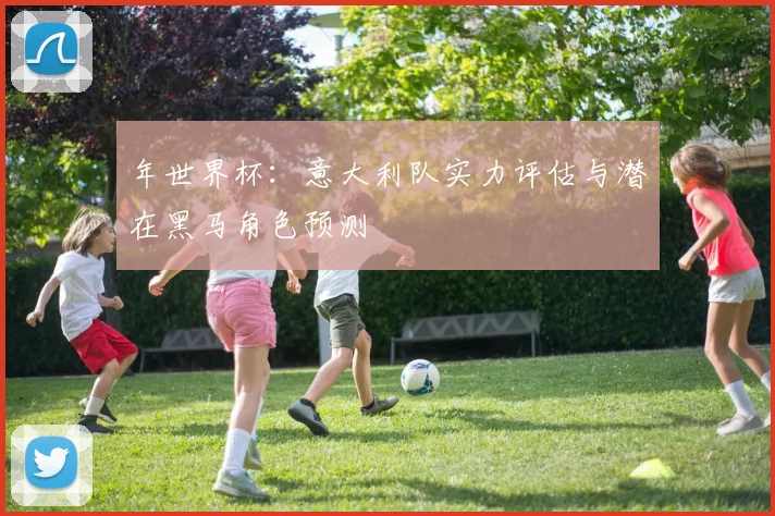 年世界杯：意大利队实力评估与潜在黑马角色预测