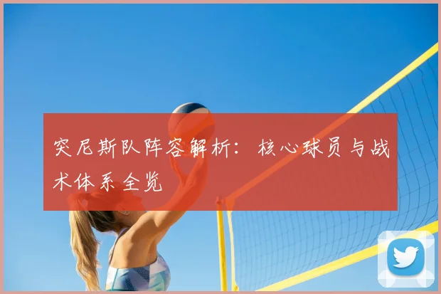 突尼斯队阵容解析：核心球员与战术体系全览